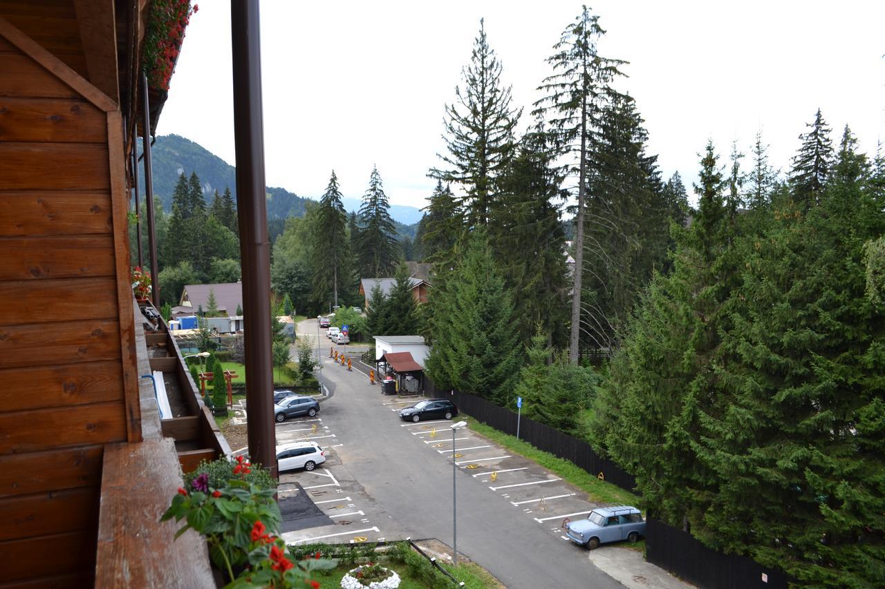 Studio Alex Poiana Brasov Bagian luar foto