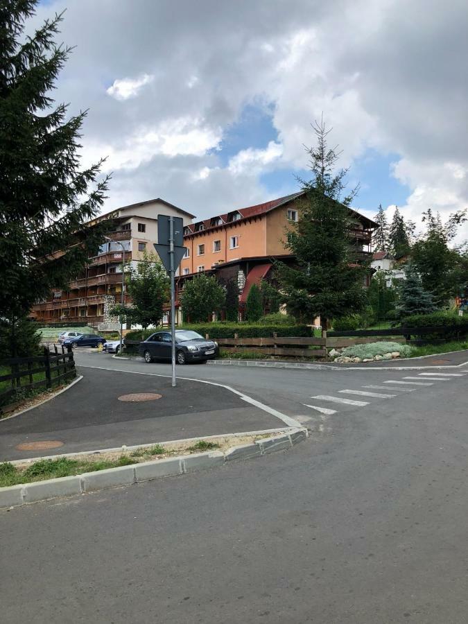 Studio Alex Poiana Brasov Bagian luar foto